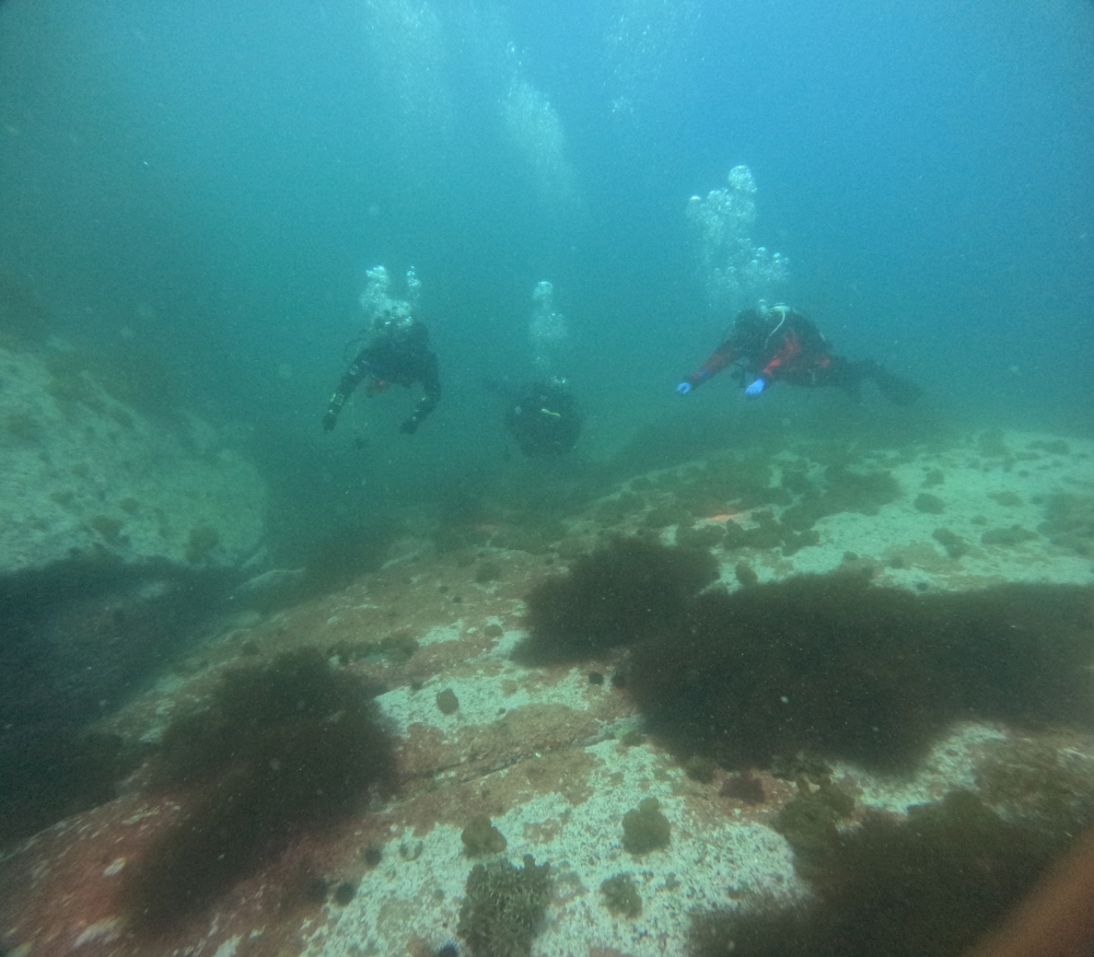GOPR1405.JPG